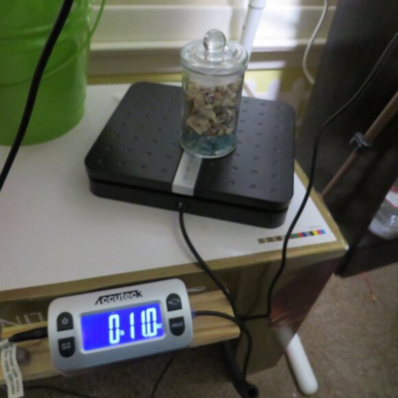 REAL tiny sea shells in a New Glass Jar w seal & lid 4.5" tall - Picture 8 of 12